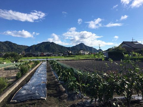 山口県ハーブ-アロマ-オリーブホリスティックアカデミー