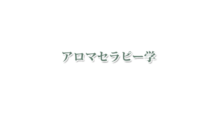 山口県・北九州市のアロマセラピー学　山口県アロマ・北九州市アロマ | 解剖学