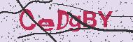 Captcha認証コード