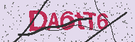 Captcha認証コード